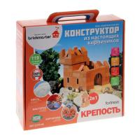 Конструктор из кирпичиков Брикмастер Крепость